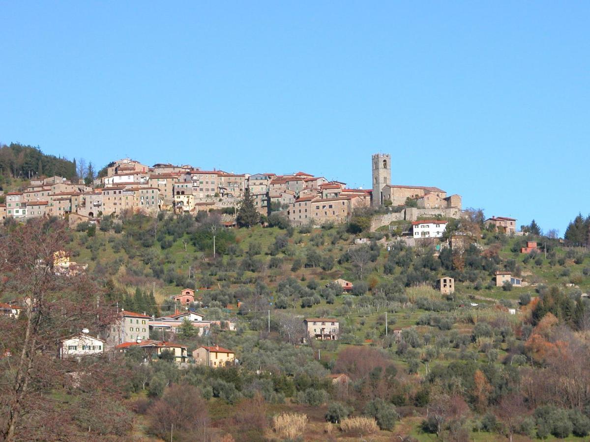 Belvilla By Oyo Olivi Giallo San Quirico  Bagian luar foto